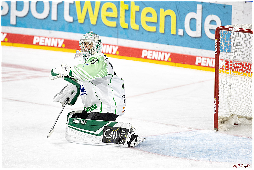 PENNY DEL;  Koelner Haie - Bietigheim Steelers; Koeln, 19.11.2021